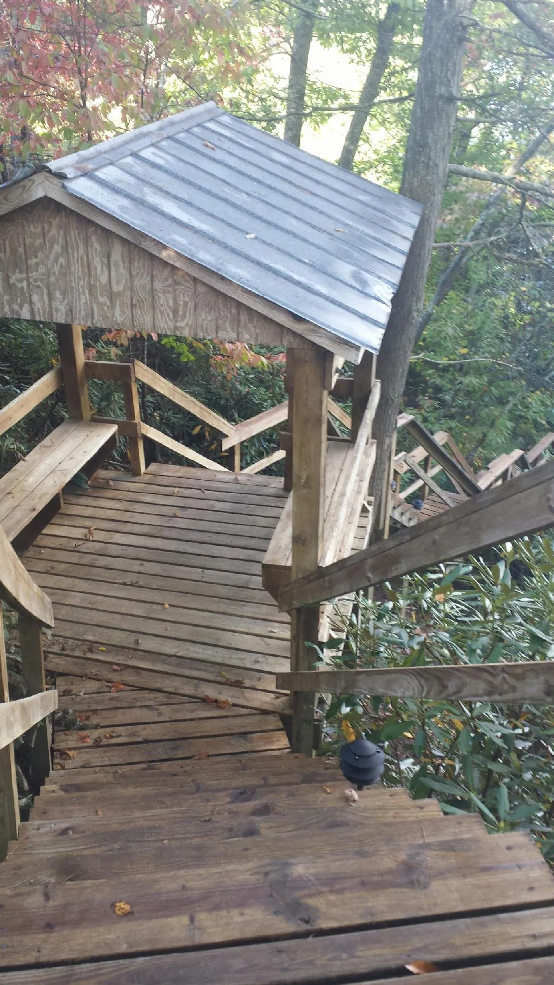 Metal roofed shelter over wooden steps on a wooded walkway — Skylight Repair & Installation work by our crew in Talmo