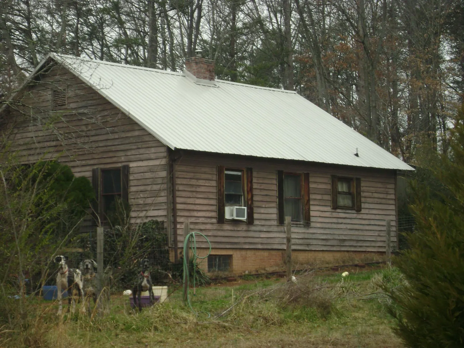White metal roof on an old wood sided farmhouse, from a Asphalt Shingle Roof Repair job in Talmo